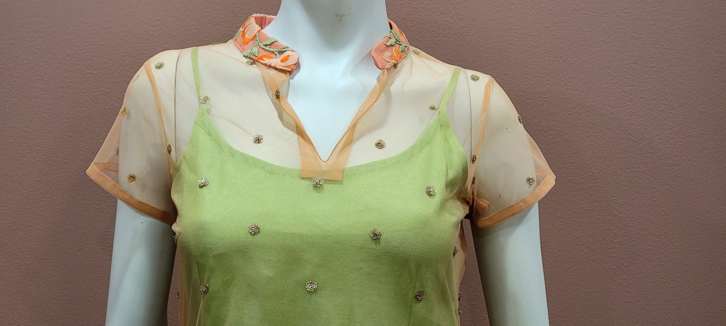 Exotic Organza Floor length Dress w/ mesh Top