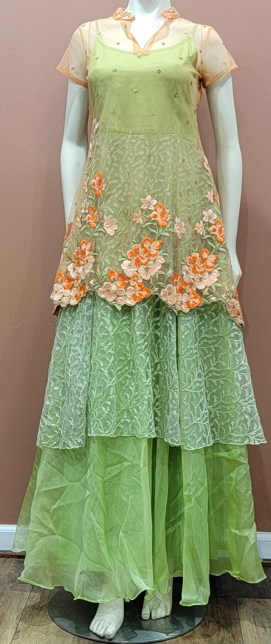 Exotic Organza Floor length Dress w/ mesh Top