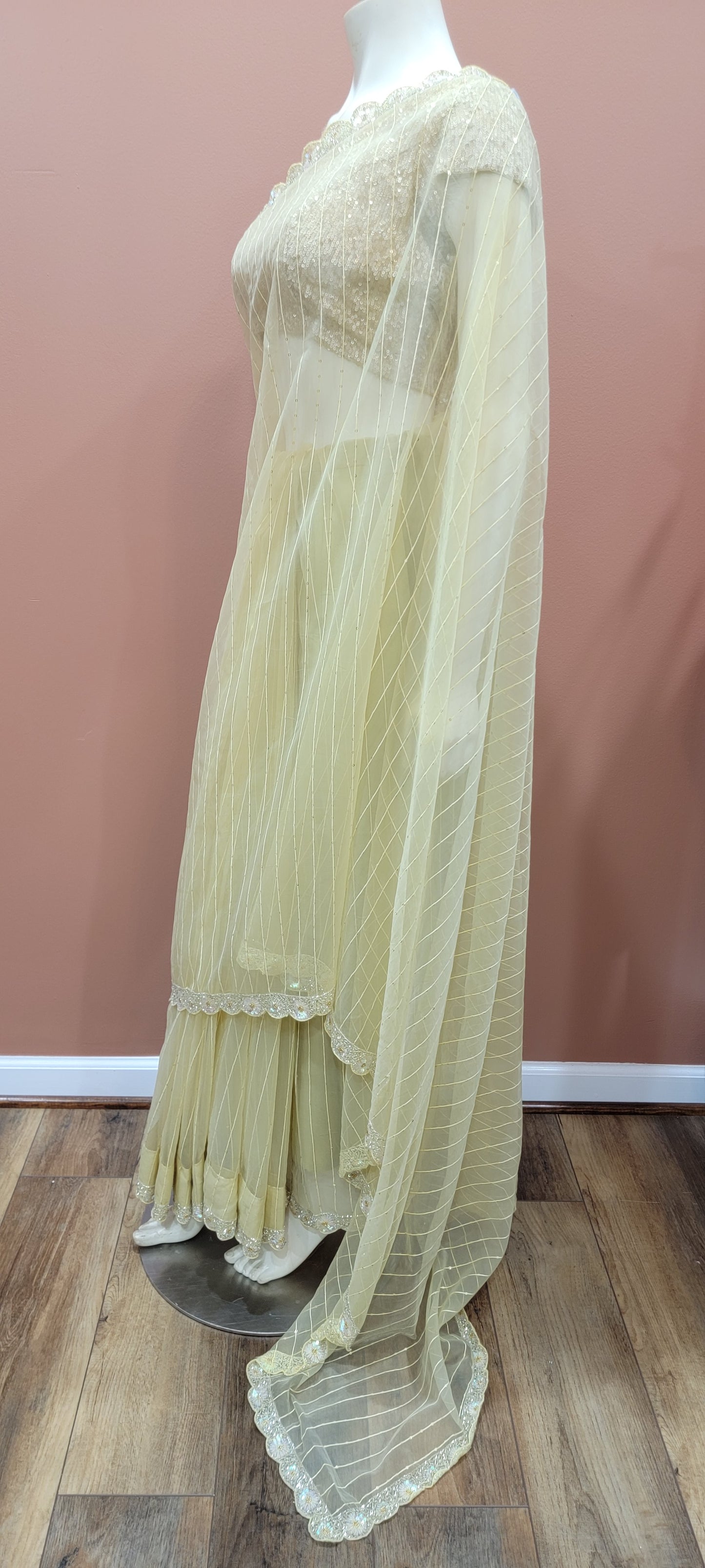 Organza Sequence Saree Collection w/ Sequence Blouse